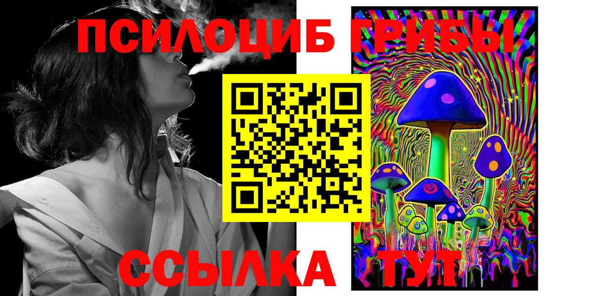 Псилоцибиновые грибы Psilocybe Жигулёвск